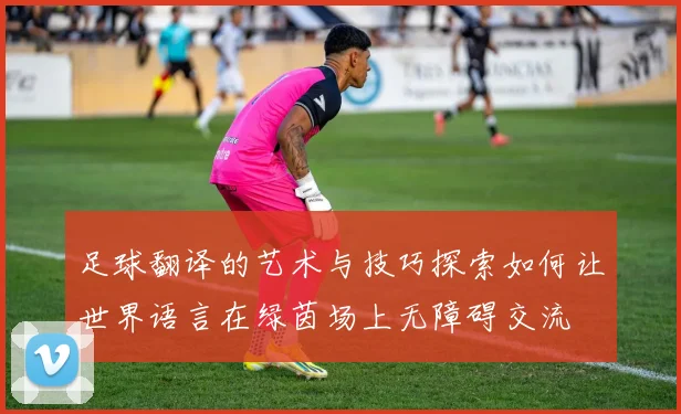 足球翻译的艺术与技巧探索如何让世界语言在绿茵场上无障碍交流