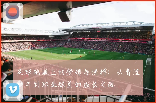 足球跑道上的梦想与拼搏：从青涩少年到职业球员的成长之路