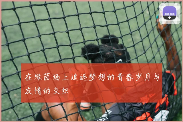 在绿茵场上追逐梦想的青春岁月与友情的交织