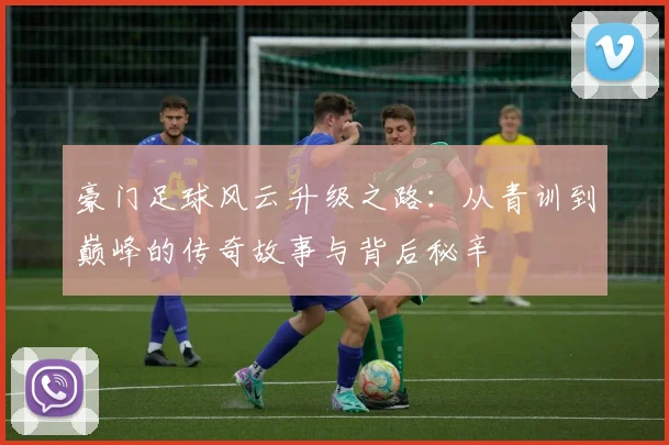 豪门足球风云升级之路：从青训到巅峰的传奇故事与背后秘辛