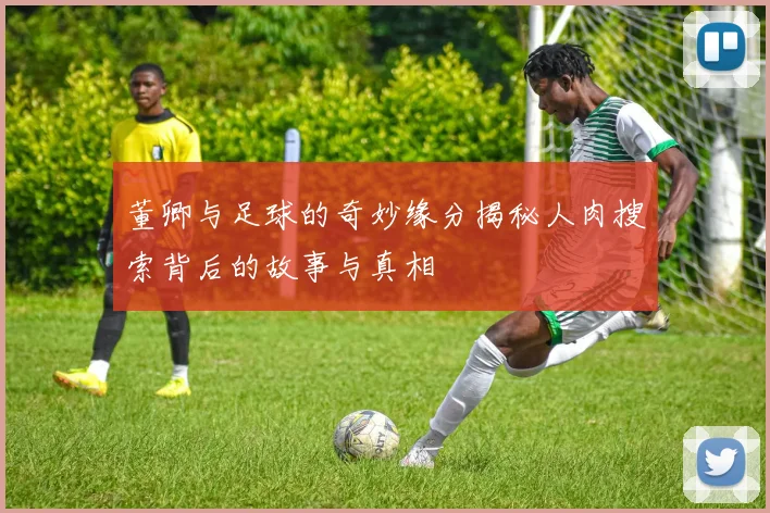 董卿与足球的奇妙缘分揭秘人肉搜索背后的故事与真相