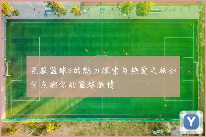 臣服篮球s的魅力探索与热爱之旅如何点燃你的篮球激情