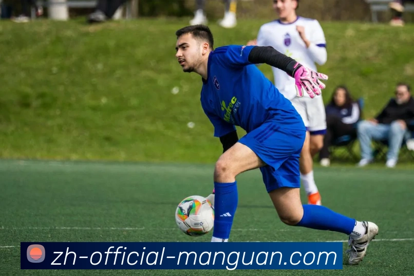 App Interface Preview